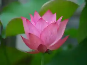 極楽山 浄土寺(北海道)(2024年06月20日(木) 20時44分21秒投稿)