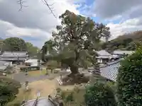 観音寺(香川県)
