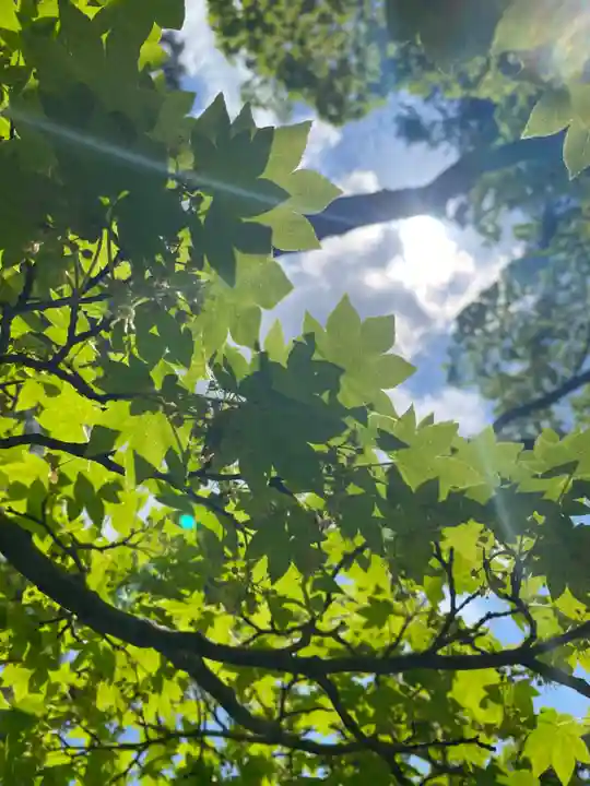 龍泉寺(岡山県)