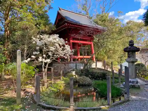 清水寺の庭園