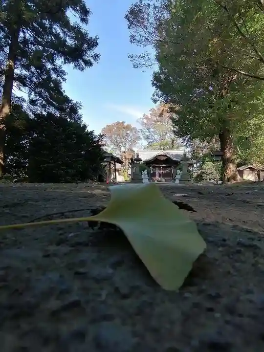 網戸神社の自然