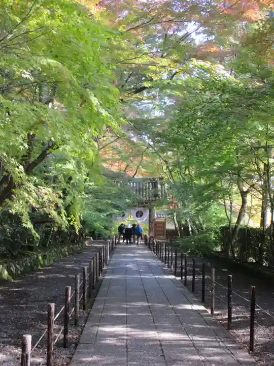 光明寺(粟生光明寺)のその他建物