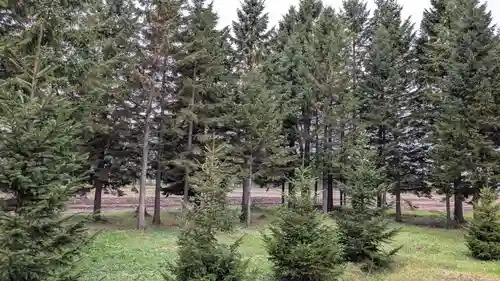 協和神社の自然