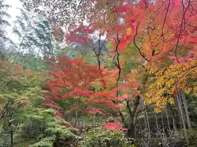 神峯山寺(大阪府)