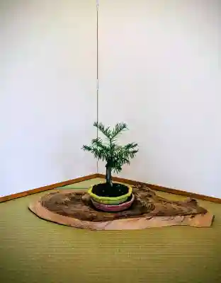 高知大神宮の{uncategorized: "未分類", other: "その他", undefined: "問題あり", building: "その他建物", grave: "お墓", sacred_gate: "鳥居", guardian: "狛犬", statue: "像", buddha: "仏像", history: "歴史", nature: "自然", garden: "庭園", animal: "動物", pagoda: "塔", temizu: "手水舎", mountain_gate: "山門・神門", sanctuary: "本殿・本堂", subordinate: "末社・摂社", art: "芸術", scenery: "景色", jizo: "地蔵", ema: "絵馬", goshuin: "御朱印", omikuji: "おみくじ", items: "授与品その他", amulet: "お守り", goshuincho: "御朱印帳", eats: "食事", festival: "お祭り", votive_dance: "神楽", shichigosan: "七五三参", wedding: "結婚式", experience: "体験その他", initially: "初詣", around: "周辺", anti_infection: "感染症対策"}