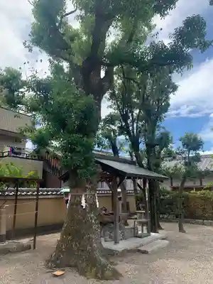 率川神社（大神神社摂社）(奈良県)