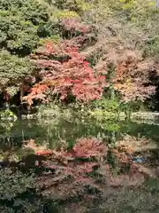 富士山本宮浅間大社(静岡県)