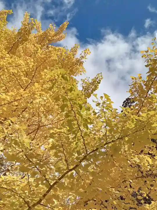高野山金剛峯寺奥の院(和歌山県)