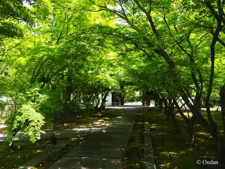 興聖寺(京都府)