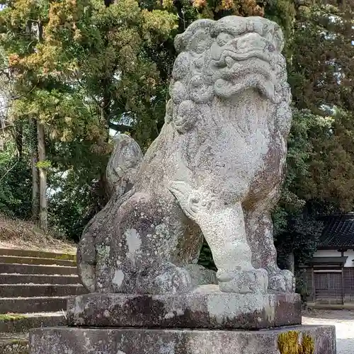 久麻加夫都阿良加志比古神社の狛犬