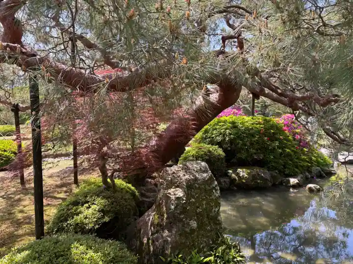 城南宮(京都府)