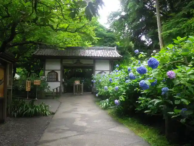 明月院の山門・神門