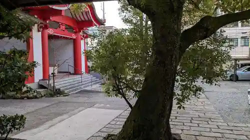 高野寺の景色