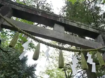 一ノ矢八坂神社(茨城県)