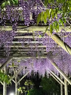 亀戸天神社(東京都)