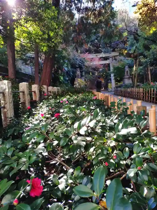 赤坂氷川神社(東京都)