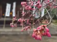 杉本寺(神奈川県)