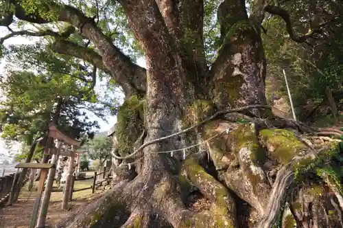 須賀神社(高知県)