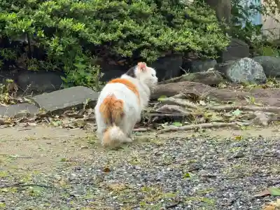 阿邪訶根神社(福島県)