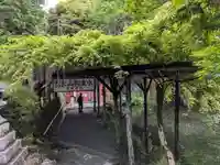 富士山本宮浅間大社(静岡県)