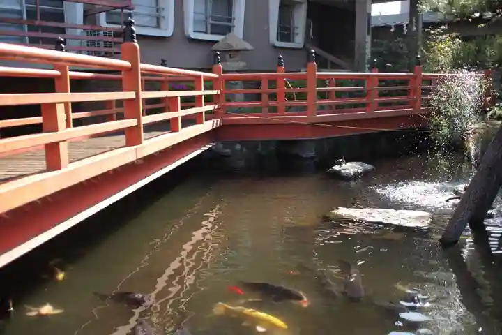 今泉八坂神社の動物