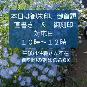 伊勢原 法泉寺の自然 2023年05月02日(火)〜(2023年05月02日(火) 07時10分26秒投稿)