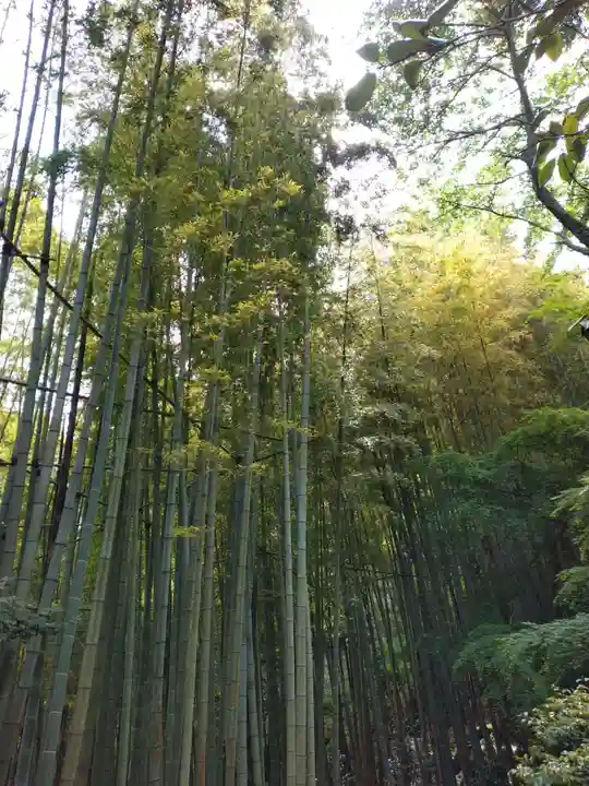 報国寺(神奈川県)