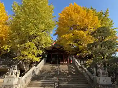 待乳山聖天（本龍院）(東京都)