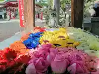 加賀屋天満宮(大阪府)