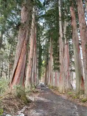 戸隠神社奥社(長野県)