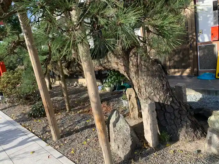 久之浜諏訪神社の自然