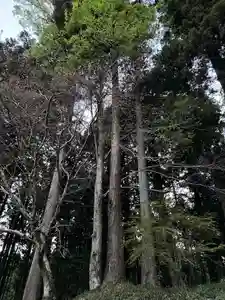大宮温泉神社(栃木県)(2023年04月14日(金) 08時06分49秒投稿)