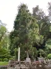 妙義神社(群馬県)