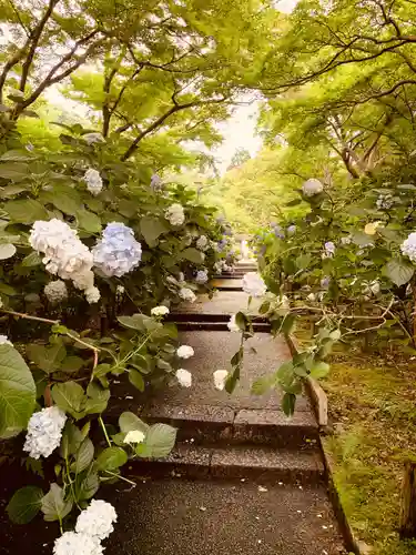 久安寺(大阪府)