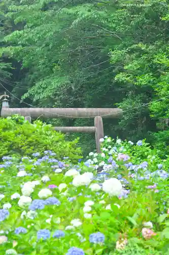 太平山神社の自然