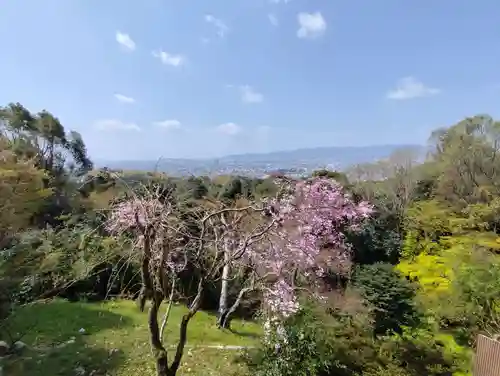 田中社神蹟(京都府)