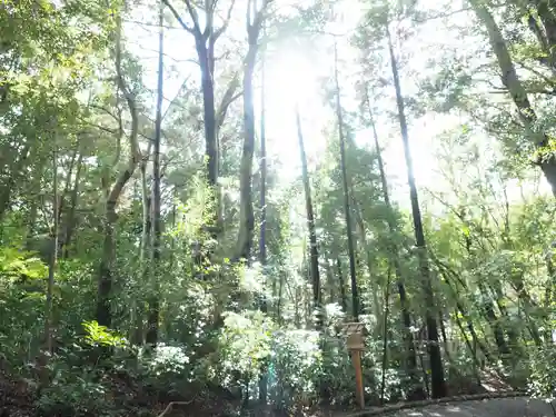 倭姫宮（皇大神宮別宮）の自然