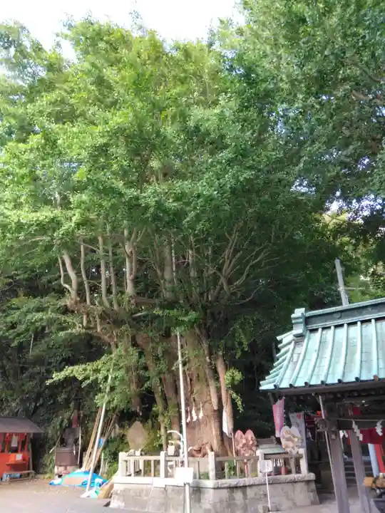 海南神社(神奈川県)
