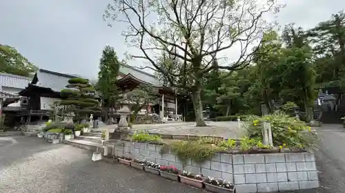 善楽寺(高知県)