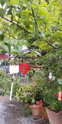 今戸神社(東京都)