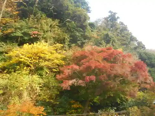 鎌倉宮の景色