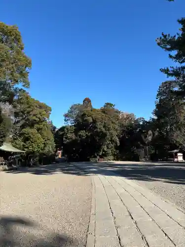 武蔵一宮氷川神社(埼玉県)