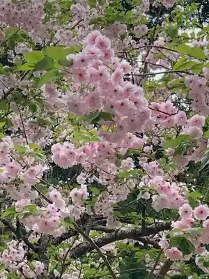 磐椅神社(福島県)