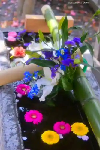 元町厳島神社(神奈川県)