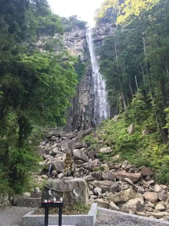 飛瀧神社(熊野那智大社別宮)の自然