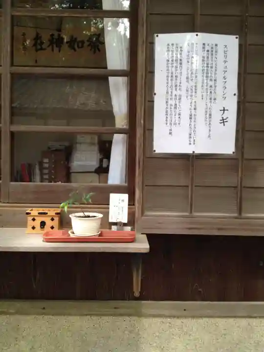 熊野三所神社のその他建物