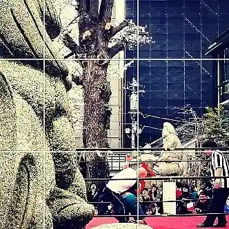神田神社(神田明神)の体験その他