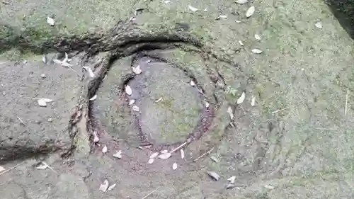 宝城坊(神奈川県)