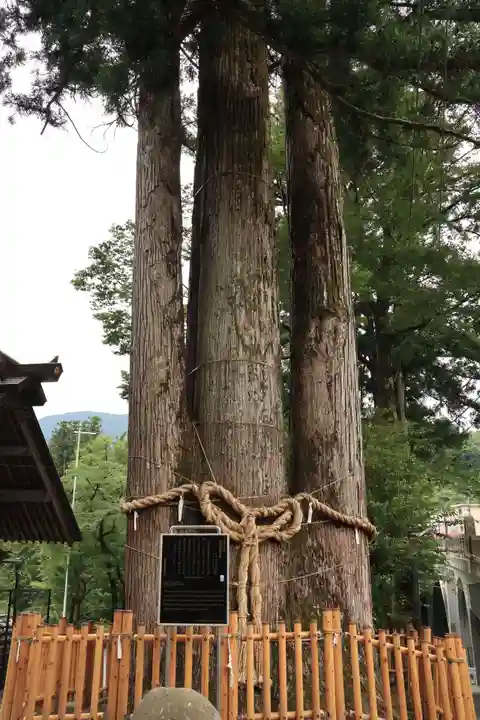 奥氷川神社(東京都)