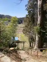 志鳥八幡宮の自然